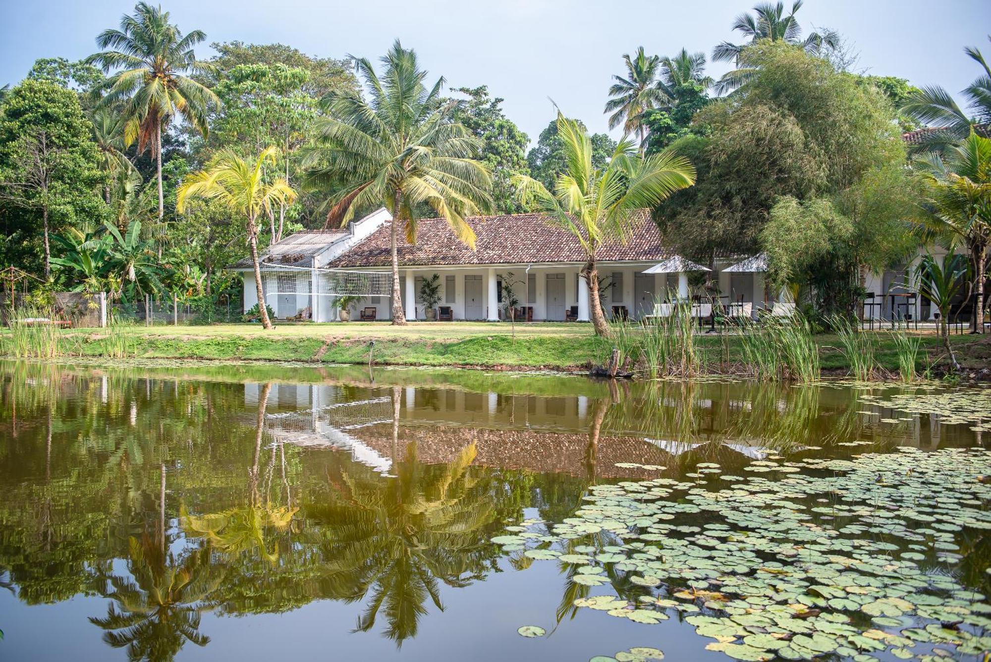 Good Story At Nirbana Island Bed and Breakfast Ahangama Eksteriør billede